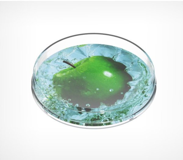 01_Монетница круглая RONDA