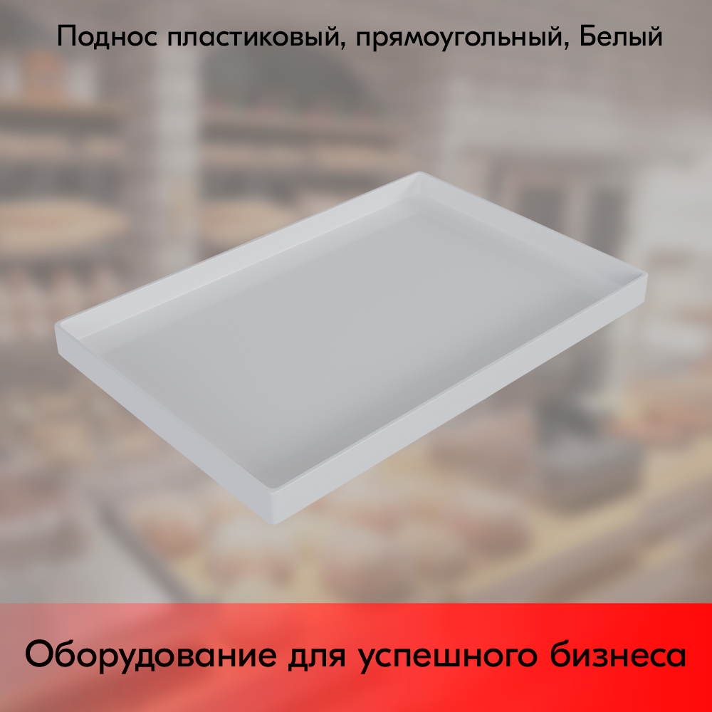01_Поднос пластиковый, прямоугольный, 300х200х18, Белый