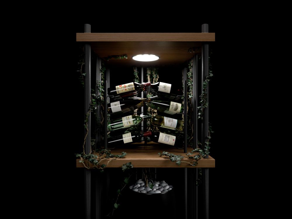 презентация вина.jpg