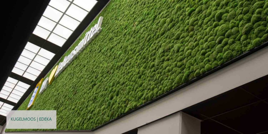 Kugelmooswand-Edeka_1280x1280.jpg