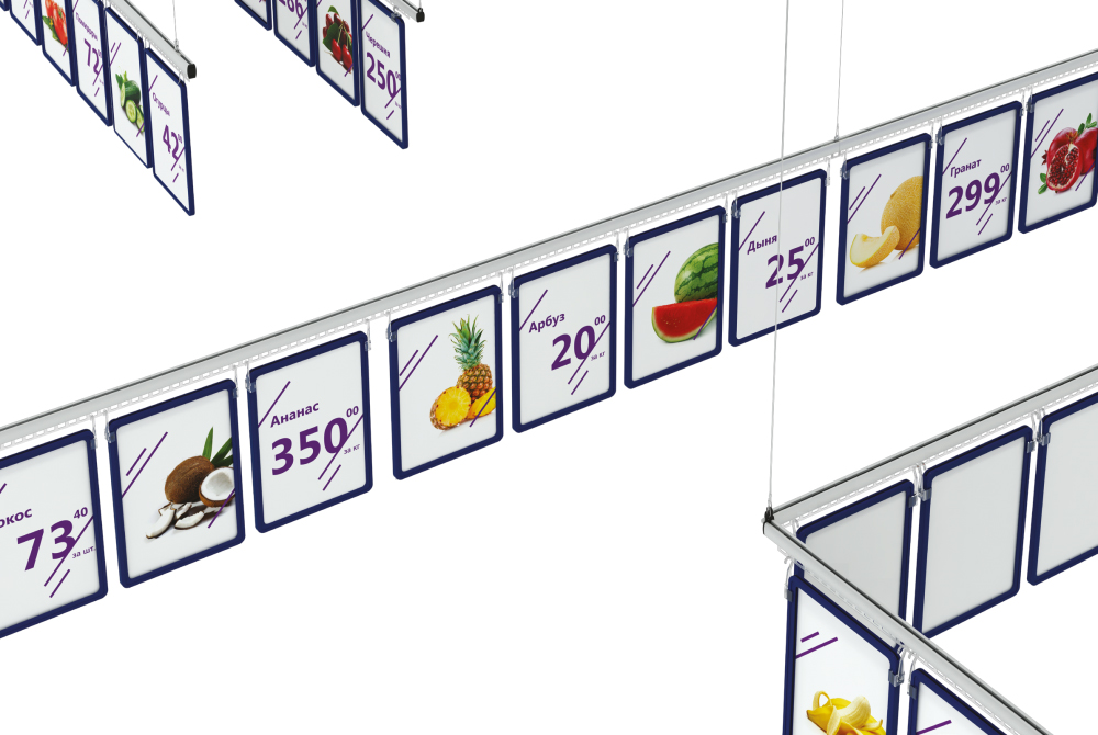 подвесная система экотрек с рамками