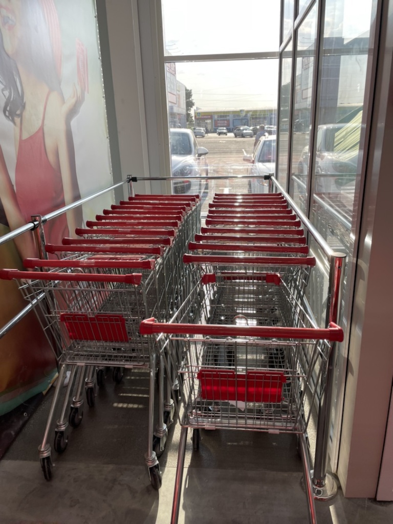 покупательские тележки.jpg