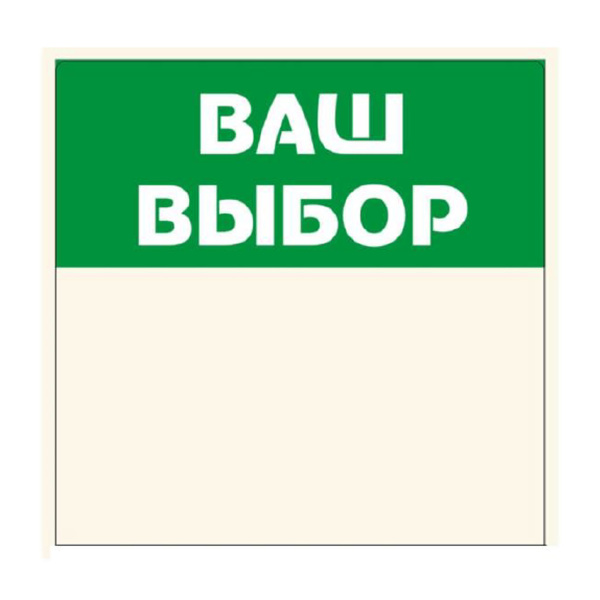 01_Шелфстоппер из ПЭТ 0,35мм в ценникодержатель, 70х70 мм Ваш выбор