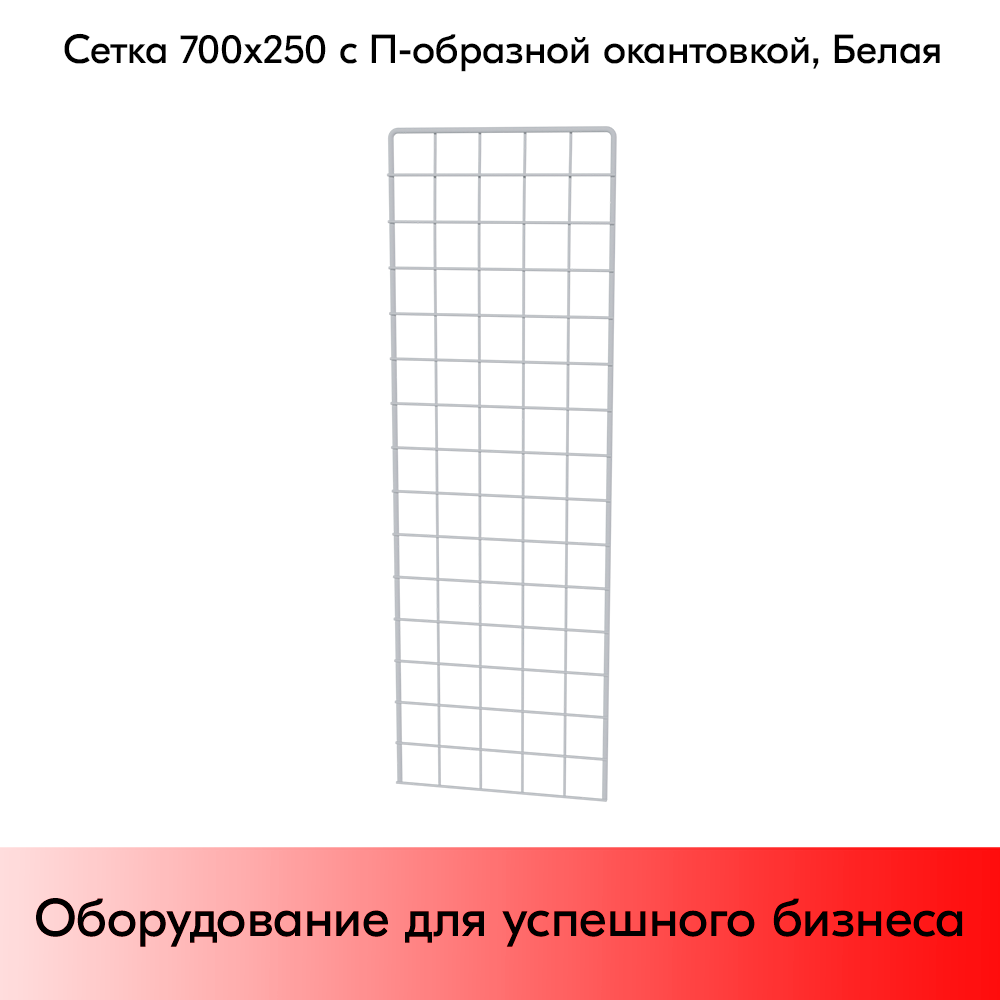 03_Сетка 700х250 с П-образной окантовкой, RAL9016, Белый