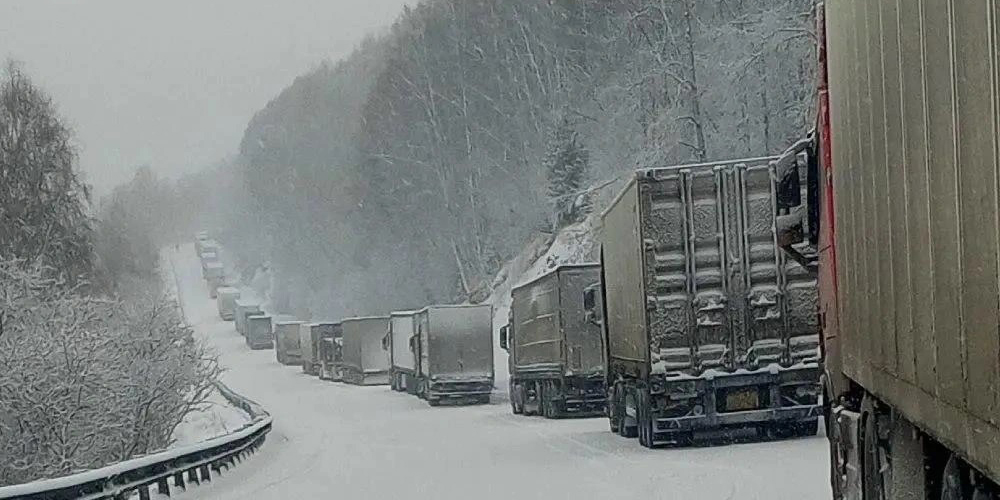 Сроки перевозок короткие и долгие