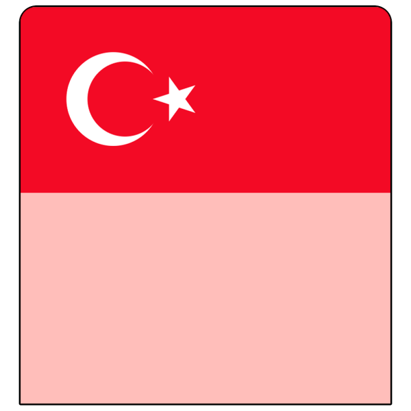 sk_Шелфстоппер stpos ФЛАГИ (Турция) из ПЭТ 0,3мм в ценникодержатель, 70х75 мм, розовый