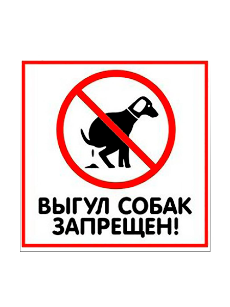 Табличка "Выгул собак запрещен" на двустороннем скотче  200х200 мм