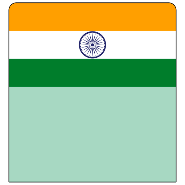 sk_Шелфстоппер stpos ФЛАГИ (Индия) из ПЭТ 0,3мм в ценникодержатель, 70х75 мм, зеленый