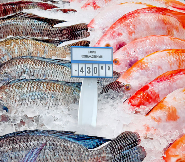 2_Кассета цен формата A8 с блокнотом REGULAR корпус ГОЛУБОЙ, блокнот БЕЛЫЙ