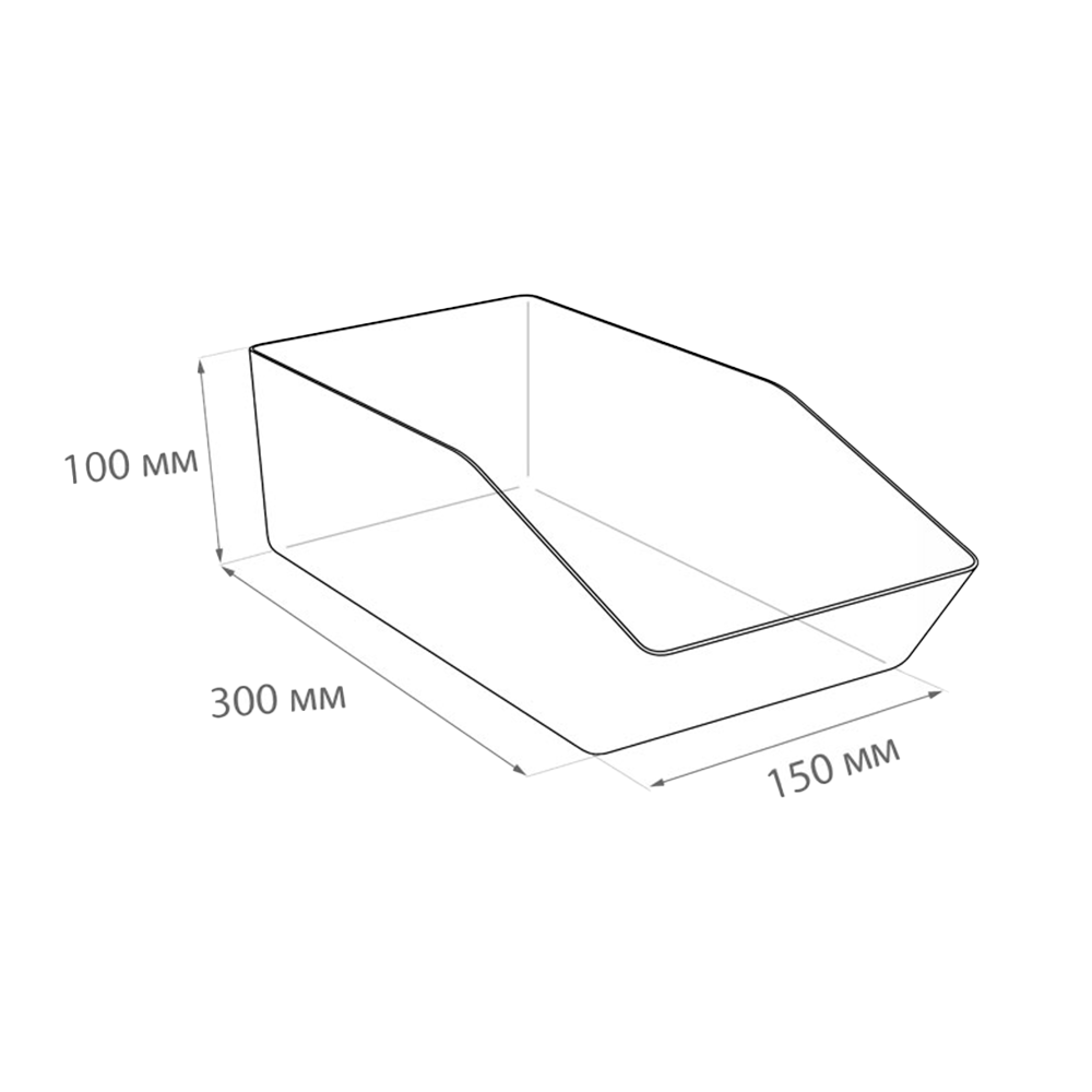 00_Накопитель универсальный малый MINIBOX 300х100х150мм, объем 3,8 л, Прозрачный
