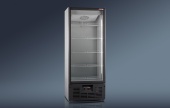 Шкаф холодильный R700 MS (0...+8)