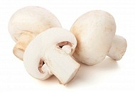 «Россельхознадзор» запретил ввоз белорусских грибов